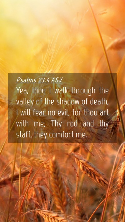 Picture 04 - Psalms 23:4 ASV Mobile Phone Wallpaper - Yea, thou I walk through the valley of the shadow - Mobile Bible Verse Wallpaper