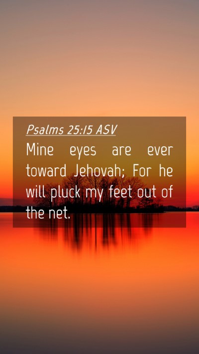 Picture 04 - Psalms 25:15 ASV Mobile Phone Wallpaper - Mine eyes are ever toward Jehovah; For he will - Mobile Bible Verse Wallpaper