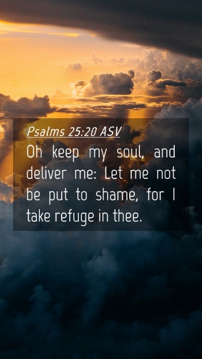 Picture 04 - Psalms 25:20 ASV Mobile Phone Wallpaper - Oh keep my soul, and deliver me: Let me not be - Mobile Bible Verse Wallpaper