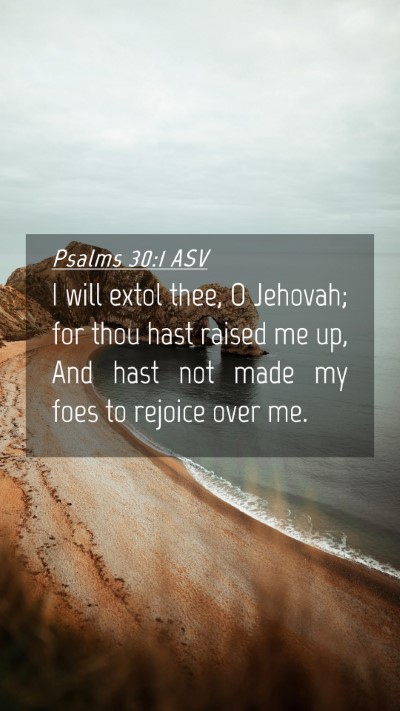 Picture 04 - Psalms 30:1 ASV Mobile Phone Wallpaper - I will extol thee, O Jehovah; for thou hast - Mobile Bible Verse Wallpaper