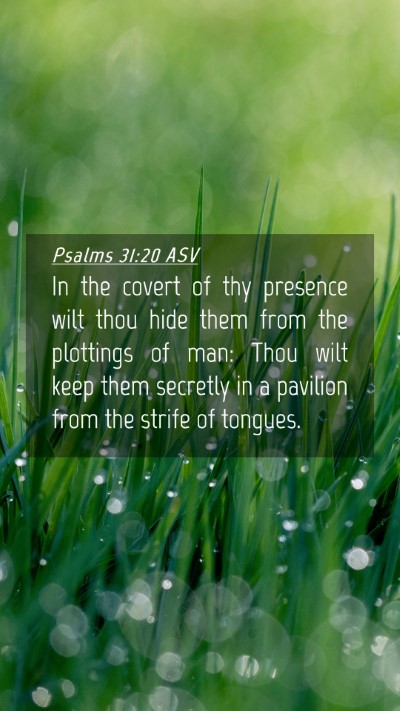 Picture 04 - Psalms 31:20 ASV Mobile Phone Wallpaper - In the covert of thy presence wilt thou hide them - Mobile Bible Verse Wallpaper