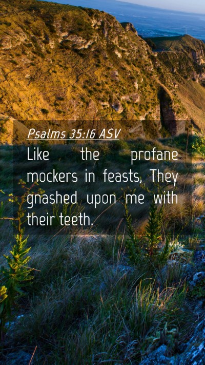 Picture 04 - Psalms 35:16 ASV Mobile Phone Wallpaper - Like the profane mockers in feasts, They gnashed - Mobile Bible Verse Wallpaper