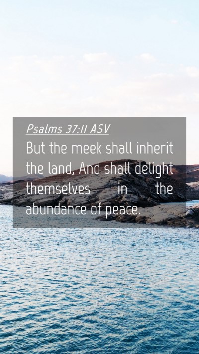 Picture 04 - Psalms 37:11 ASV Mobile Phone Wallpaper - But the meek shall inherit the land, And shall - Mobile Bible Verse Wallpaper