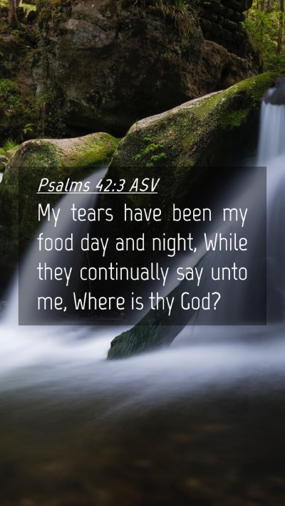 Picture 04 - Psalms 42:3 ASV Mobile Phone Wallpaper - My tears have been my food day and night, While - Mobile Bible Verse Wallpaper
