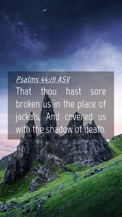 Picture 04 - Psalms 44:19 ASV Mobile Phone Wallpaper - That thou hast sore broken us in the place of - Mobile Bible Verse Wallpaper