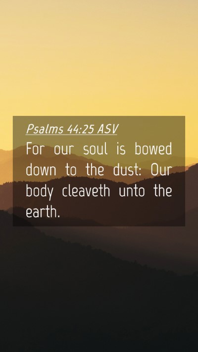 Picture 04 - Psalms 44:25 ASV Mobile Phone Wallpaper - For our soul is bowed down to the dust: Our body - Mobile Bible Verse Wallpaper