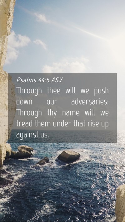 Picture 04 - Psalms 44:5 ASV Mobile Phone Wallpaper - Through thee will we push down our adversaries: - Mobile Bible Verse Wallpaper