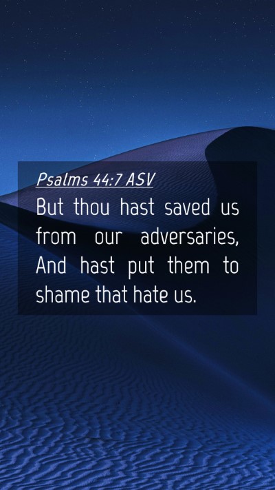 Picture 04 - Psalms 44:7 ASV Mobile Phone Wallpaper - But thou hast saved us from our adversaries, And - Mobile Bible Verse Wallpaper