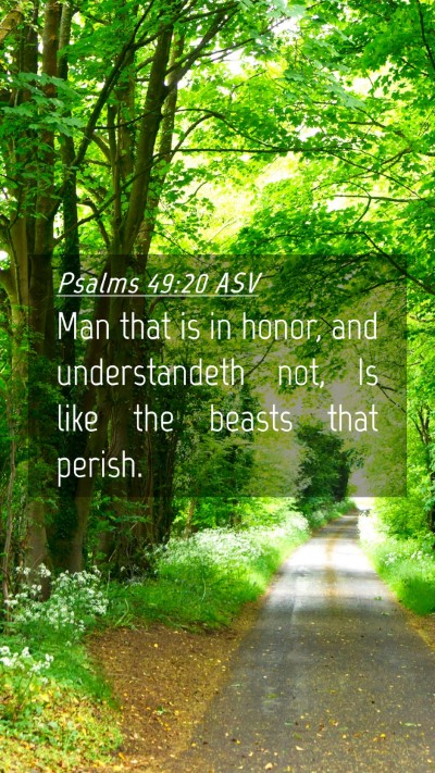 Picture 04 - Psalms 49:20 ASV Mobile Phone Wallpaper - Man that is in honor, and understandeth not, Is - Mobile Bible Verse Wallpaper