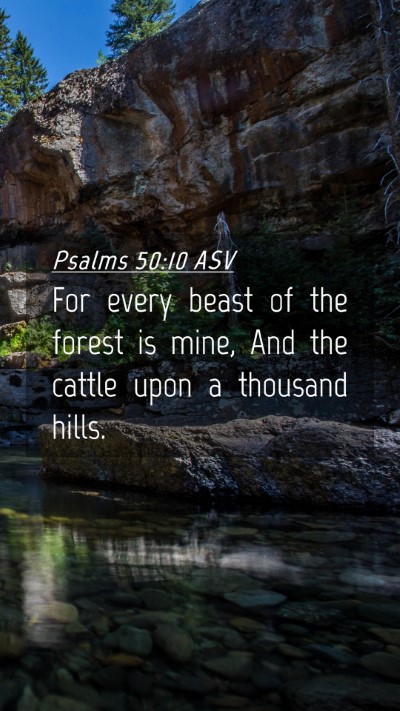 Picture 04 - Psalms 50:10 ASV Mobile Phone Wallpaper - For every beast of the forest is mine, And the - Mobile Bible Verse Wallpaper