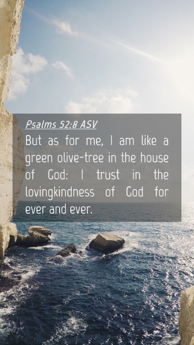 Picture 04 - Psalms 52:8 ASV Mobile Phone Wallpaper - But as for me, I am like a green olive-tree in - Mobile Bible Verse Wallpaper
