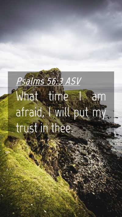 Picture 04 - Psalms 56:3 ASV Mobile Phone Wallpaper - What time I am afraid, I will put my trust in - Mobile Bible Verse Wallpaper