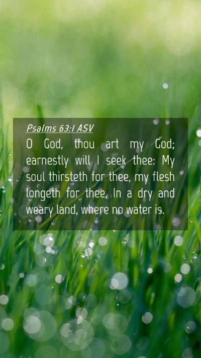 Picture 04 - Psalms 63:1 ASV Mobile Phone Wallpaper - O God, thou art my God; earnestly will I seek - Mobile Bible Verse Wallpaper
