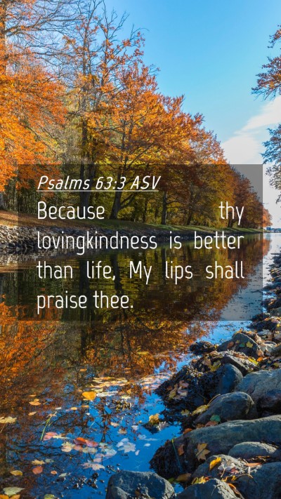 Picture 04 - Psalms 63:3 ASV Mobile Phone Wallpaper - Because thy lovingkindness is better than life, - Mobile Bible Verse Wallpaper