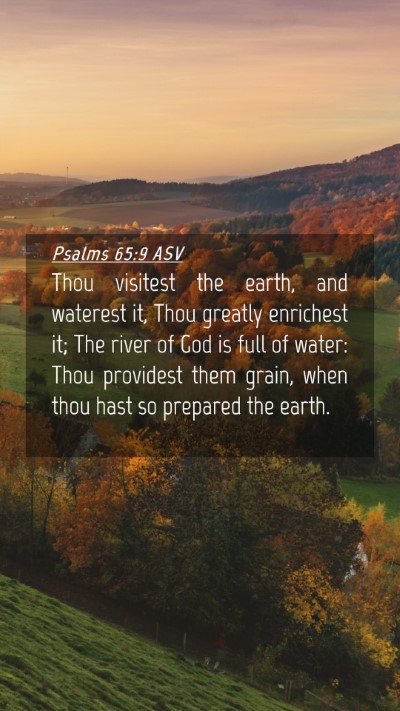 Picture 04 - Psalms 65:9 ASV Mobile Phone Wallpaper - Thou visitest the earth, and waterest it, Thou - Mobile Bible Verse Wallpaper
