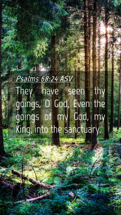 Picture 04 - Psalms 68:24 ASV Mobile Phone Wallpaper - They have seen thy goings, O God, Even the goings - Mobile Bible Verse Wallpaper