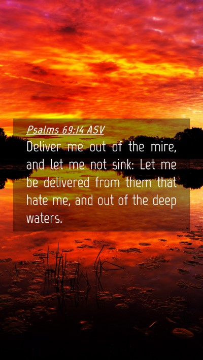 Picture 04 - Psalms 69:14 ASV Mobile Phone Wallpaper - Deliver me out of the mire, and let me not sink: - Mobile Bible Verse Wallpaper