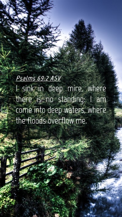 Picture 04 - Psalms 69:2 ASV Mobile Phone Wallpaper - I sink in deep mire, where there is no standing: - Mobile Bible Verse Wallpaper