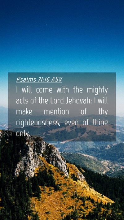 Picture 04 - Psalms 71:16 ASV Mobile Phone Wallpaper - I will come with the mighty acts of the Lord - Mobile Bible Verse Wallpaper