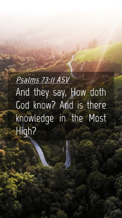 Picture 04 - Psalms 73:11 ASV Mobile Phone Wallpaper - And they say, How doth God know? And is there - Mobile Bible Verse Wallpaper