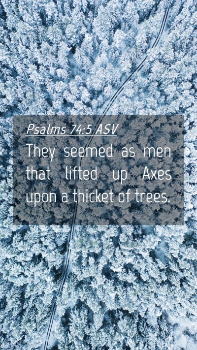 Picture 04 - Psalms 74:5 ASV Mobile Phone Wallpaper - They seemed as men that lifted up Axes upon a - Mobile Bible Verse Wallpaper