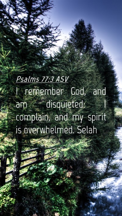 Picture 04 - Psalms 77:3 ASV Mobile Phone Wallpaper - I remember God, and am disquieted: I complain, - Mobile Bible Verse Wallpaper