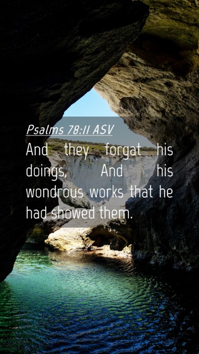 Picture 04 - Psalms 78:11 ASV Mobile Phone Wallpaper - And they forgat his doings, And his wondrous - Mobile Bible Verse Wallpaper