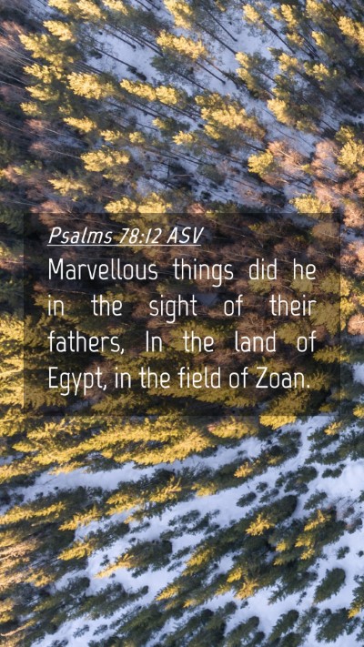 Picture 04 - Psalms 78:12 ASV Mobile Phone Wallpaper - Marvellous things did he in the sight of their - Mobile Bible Verse Wallpaper