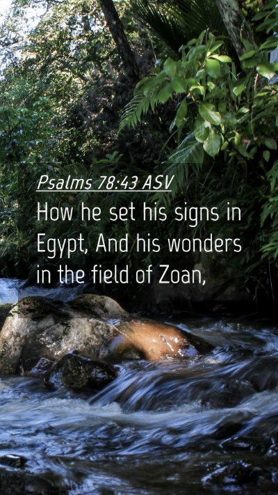 Picture 04 - Psalms 78:43 ASV Mobile Phone Wallpaper - How he set his signs in Egypt, And his wonders in - Mobile Bible Verse Wallpaper