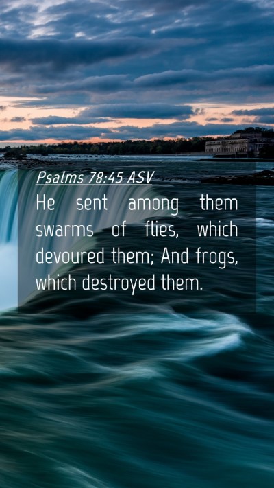 Picture 04 - Psalms 78:45 ASV Mobile Phone Wallpaper - He sent among them swarms of flies, which - Mobile Bible Verse Wallpaper
