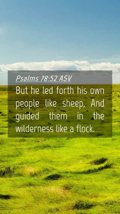 Picture 04 - Psalms 78:52 ASV Mobile Phone Wallpaper - But he led forth his own people like sheep, And - Mobile Bible Verse Wallpaper
