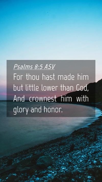 Picture 04 - Psalms 8:5 ASV Mobile Phone Wallpaper - For thou hast made him but little lower than God, - Mobile Bible Verse Wallpaper