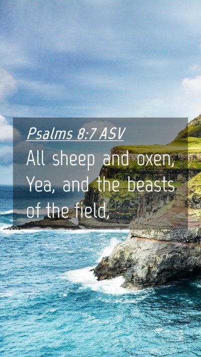 Picture 04 - Psalms 8:7 ASV Mobile Phone Wallpaper - All sheep and oxen, Yea, and the beasts of the - Mobile Bible Verse Wallpaper