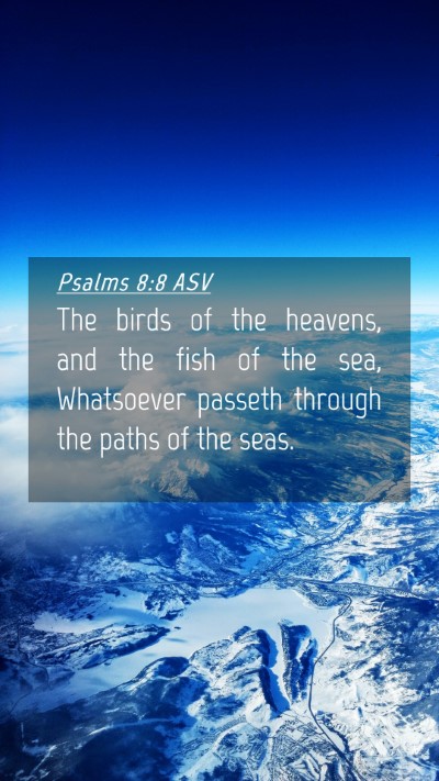 Picture 04 - Psalms 8:8 ASV Mobile Phone Wallpaper - The birds of the heavens, and the fish of the - Mobile Bible Verse Wallpaper