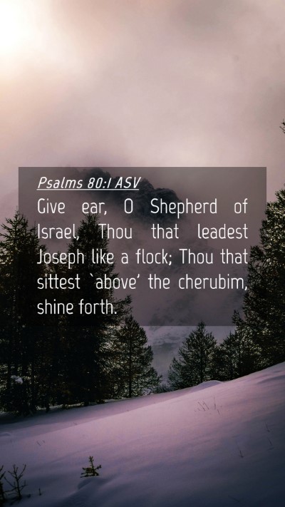 Picture 04 - Psalms 80:1 ASV Mobile Phone Wallpaper - Give ear, O Shepherd of Israel, Thou that leadest - Mobile Bible Verse Wallpaper