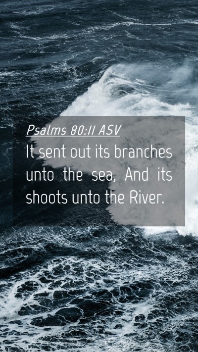Picture 04 - Psalms 80:11 ASV Mobile Phone Wallpaper - It sent out its branches unto the sea, And its - Mobile Bible Verse Wallpaper