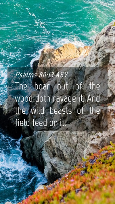Picture 04 - Psalms 80:13 ASV Mobile Phone Wallpaper - The boar out of the wood doth ravage it, And the - Mobile Bible Verse Wallpaper