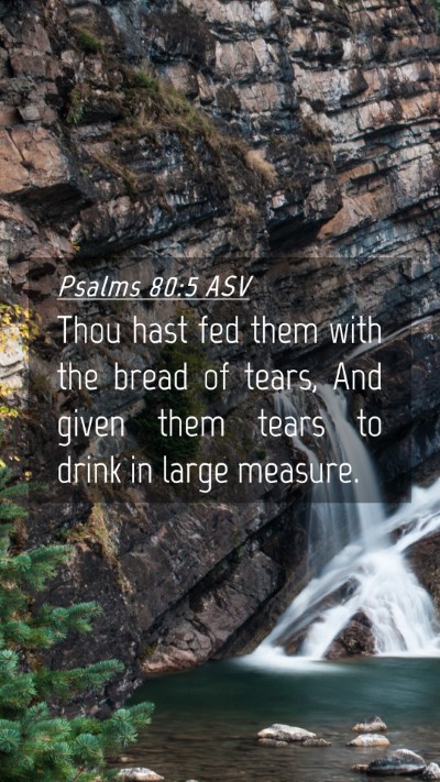 Picture 04 - Psalms 80:5 ASV Mobile Phone Wallpaper - Thou hast fed them with the bread of tears, And - Mobile Bible Verse Wallpaper