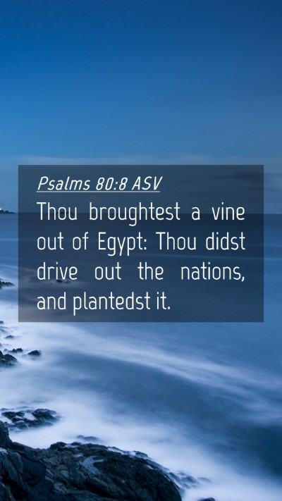 Picture 04 - Psalms 80:8 ASV Mobile Phone Wallpaper - Thou broughtest a vine out of Egypt: Thou didst - Mobile Bible Verse Wallpaper