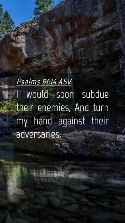 Picture 04 - Psalms 81:14 ASV Mobile Phone Wallpaper - I would soon subdue their enemies, And turn my - Mobile Bible Verse Wallpaper