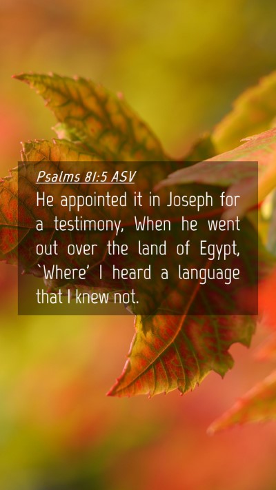 Picture 04 - Psalms 81:5 ASV Mobile Phone Wallpaper - He appointed it in Joseph for a testimony, When - Mobile Bible Verse Wallpaper