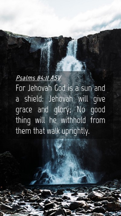 Picture 04 - Psalms 84:11 ASV Mobile Phone Wallpaper - For Jehovah God is a sun and a shield: Jehovah - Mobile Bible Verse Wallpaper