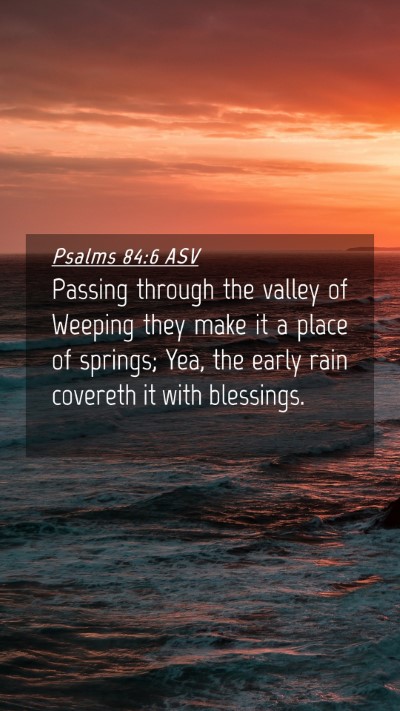 Picture 04 - Psalms 84:6 ASV Mobile Phone Wallpaper - Passing through the valley of Weeping they make - Mobile Bible Verse Wallpaper