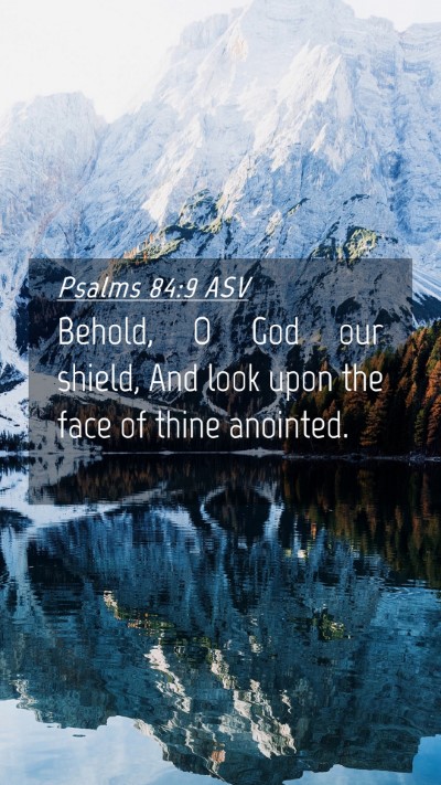Picture 04 - Psalms 84:9 ASV Mobile Phone Wallpaper - Behold, O God our shield, And look upon the face - Mobile Bible Verse Wallpaper