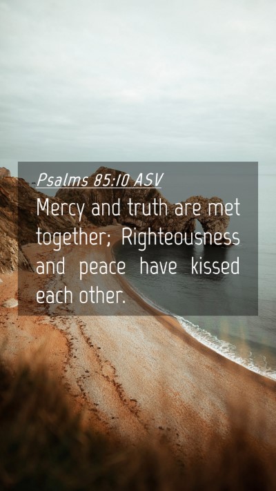 Picture 04 - Psalms 85:10 ASV Mobile Phone Wallpaper - Mercy and truth are met together; Righteousness - Mobile Bible Verse Wallpaper