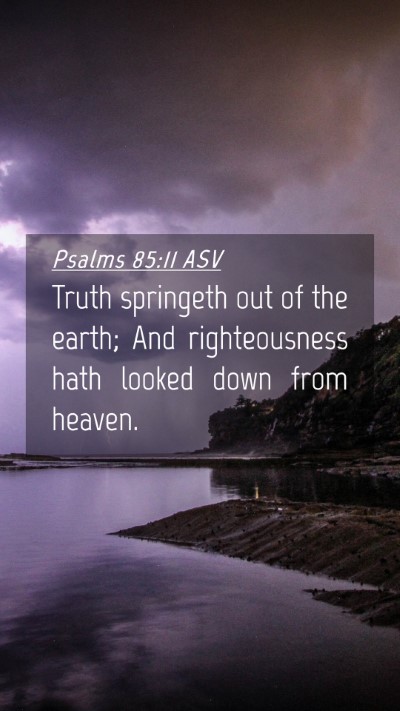 Picture 04 - Psalms 85:11 ASV Mobile Phone Wallpaper - Truth springeth out of the earth; And - Mobile Bible Verse Wallpaper