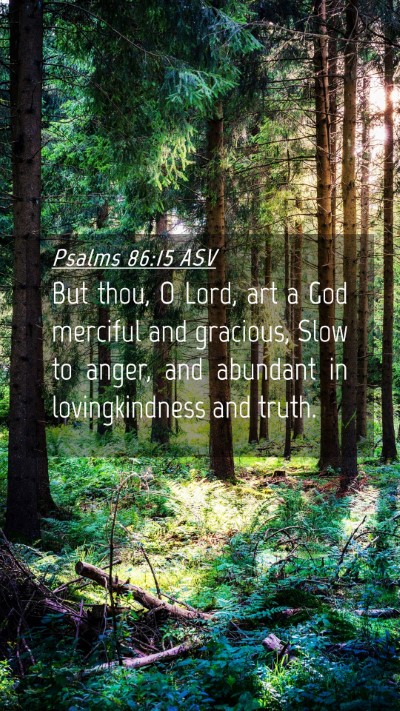 Picture 04 - Psalms 86:15 ASV Mobile Phone Wallpaper - But thou, O Lord, art a God merciful and - Mobile Bible Verse Wallpaper