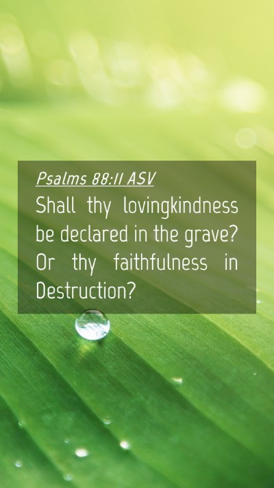 Picture 04 - Psalms 88:11 ASV Mobile Phone Wallpaper - Shall thy lovingkindness be declared in the - Mobile Bible Verse Wallpaper