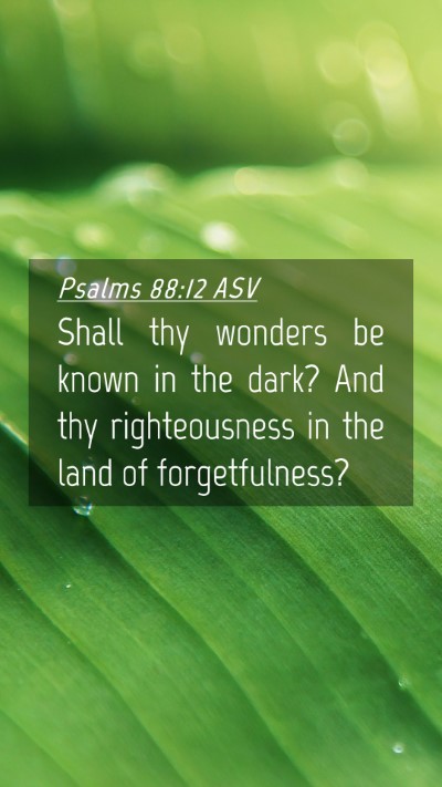 Picture 04 - Psalms 88:12 ASV Mobile Phone Wallpaper - Shall thy wonders be known in the dark? And thy - Mobile Bible Verse Wallpaper