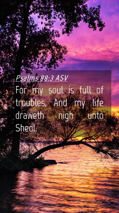 Picture 04 - Psalms 88:3 ASV Mobile Phone Wallpaper - For my soul is full of troubles, And my life - Mobile Bible Verse Wallpaper